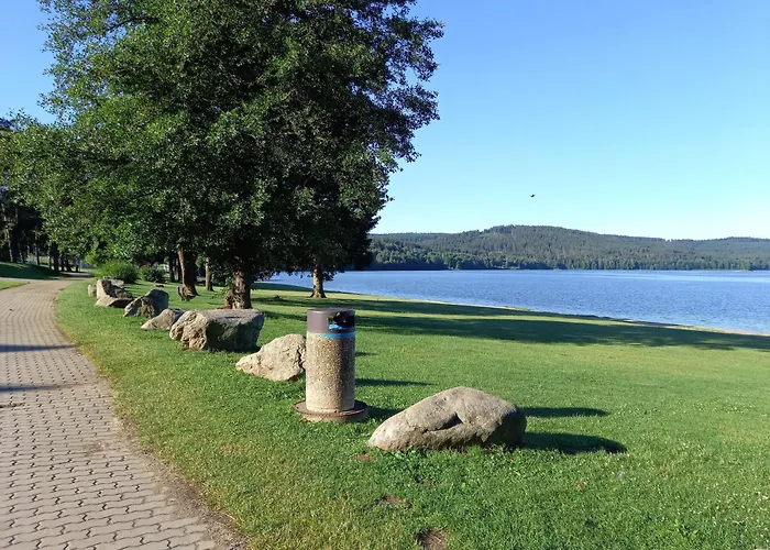 Apartment 10 Lipno 511 *