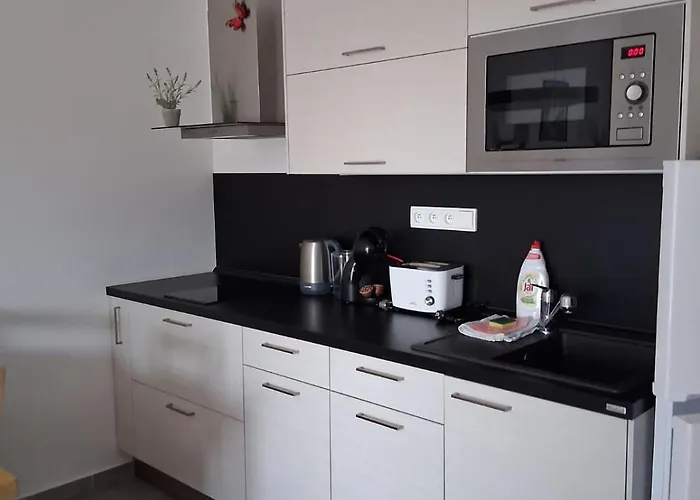 10 Lipno 511 Apartment *